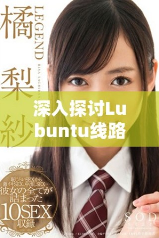 深入探討Lubuntu線路檢測1的技術(shù)原理與應(yīng)用分析