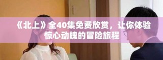 《北上》全40集免費欣賞，讓你體驗驚心動魄的冒險旅程