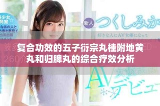 復(fù)合功效的五子衍宗丸桂附地黃丸和歸脾丸的綜合療效分析