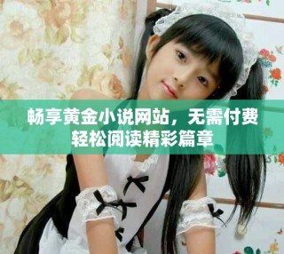 暢享黃金小說網(wǎng)站，無需付費(fèi)輕松閱讀精彩篇章
