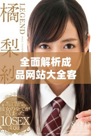 全面解析成品網(wǎng)站大全客戶端下載的便捷體驗與獨特優(yōu)勢