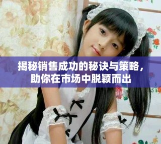 揭秘銷(xiāo)售成功的秘訣與策略，助你在市場(chǎng)中脫穎而出