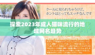 探索2023年成人貓咪流行的地域網(wǎng)名趨勢