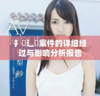 扌喿辶畐案件的詳細經過與影響分析報告