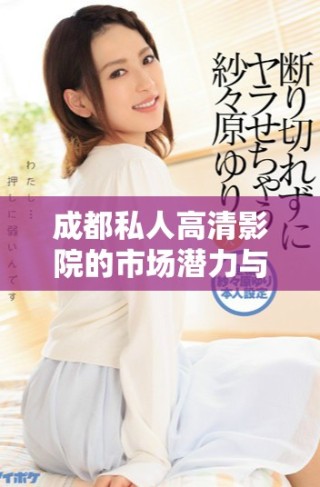 成都私人高清影院的市場(chǎng)潛力與未來(lái)發(fā)展趨勢(shì)研究分析