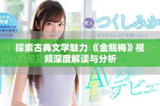 探索古典文學(xué)魅力 《金瓶梅》視頻深度解讀與分析