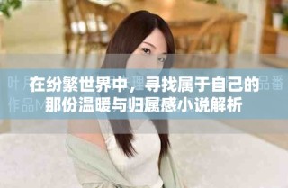 在紛繁世界中，尋找屬于自己的那份溫暖與歸屬感小說解析