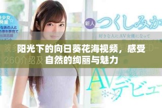 陽光下的向日葵花海視頻，感受自然的絢麗與魅力