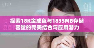 探索18K金成色與1835MB存儲容量的完美結(jié)合與應(yīng)用潛力