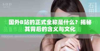 國外B站的正式全稱是什么？揭秘其背后的含義與文化