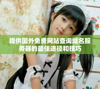 提供國外免費網(wǎng)站查詢域名服務器的最佳途徑和技巧