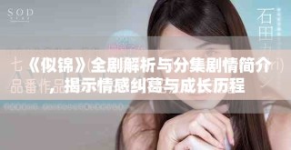 《似錦》全劇解析與分集劇情簡(jiǎn)介，揭示情感糾葛與成長(zhǎng)歷程