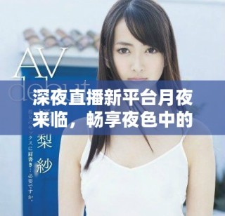 深夜直播新平臺月夜來臨，暢享夜色中的獨(dú)特體驗(yàn)與互動樂趣