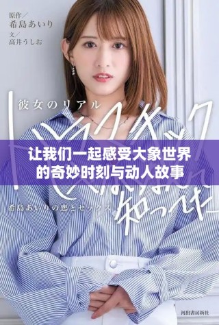 讓我們一起感受大象世界的奇妙時(shí)刻與動(dòng)人故事