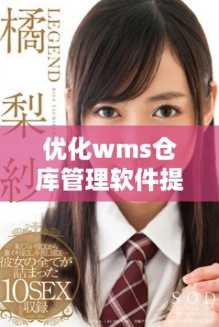 優(yōu)化wms倉(cāng)庫(kù)管理軟件提升物流效率的關(guān)鍵因素分析