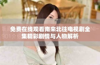 免費(fèi)在線觀看南來北往電視劇全集精彩劇情與人物解析