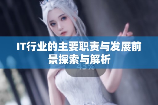 IT行業(yè)的主要職責(zé)與發(fā)展前景探索與解析
