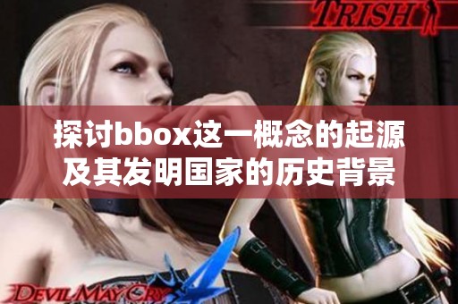 探討bbox這一概念的起源及其發(fā)明國家的歷史背景