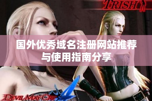 國外優(yōu)秀域名注冊網(wǎng)站推薦與使用指南分享