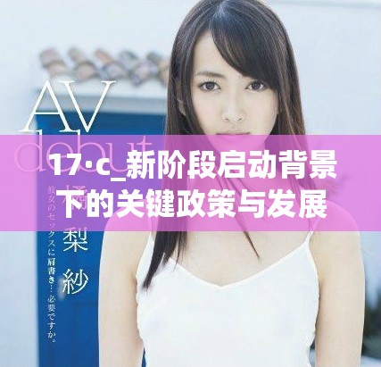 17·c_新階段啟動背景下的關鍵政策與發(fā)展方向解析