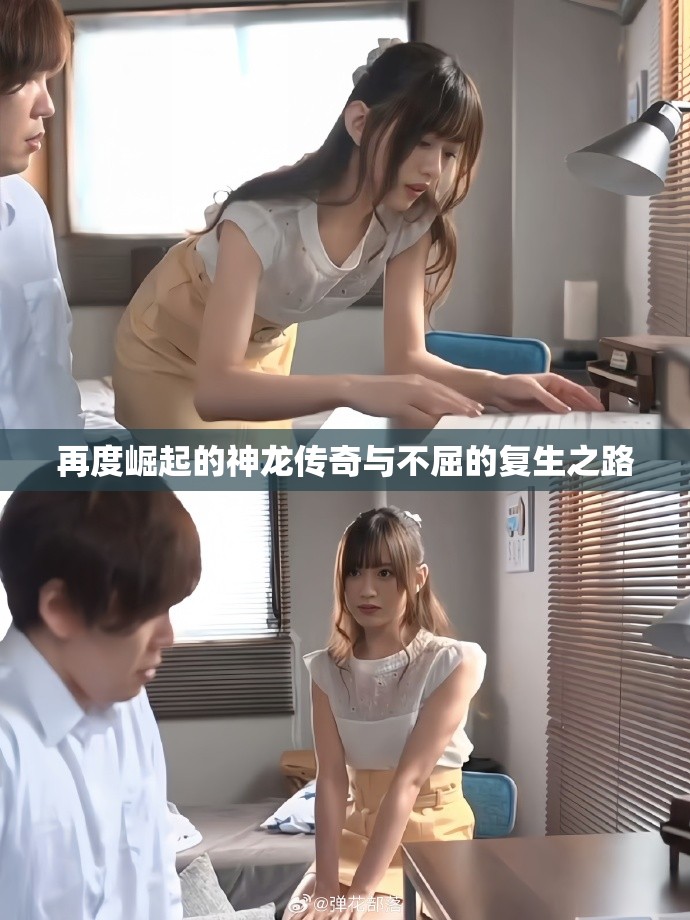 再度崛起的神龍傳奇與不屈的復生之路