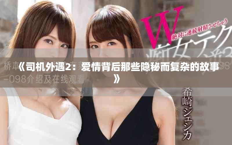 《司機(jī)外遇2：愛情背后那些隱秘而復(fù)雜的故事》