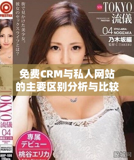 免費CRM與私人網(wǎng)站的主要區(qū)別分析與比較