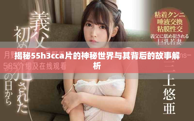 揭秘55h3cca片的神秘世界與其背后的故事解析