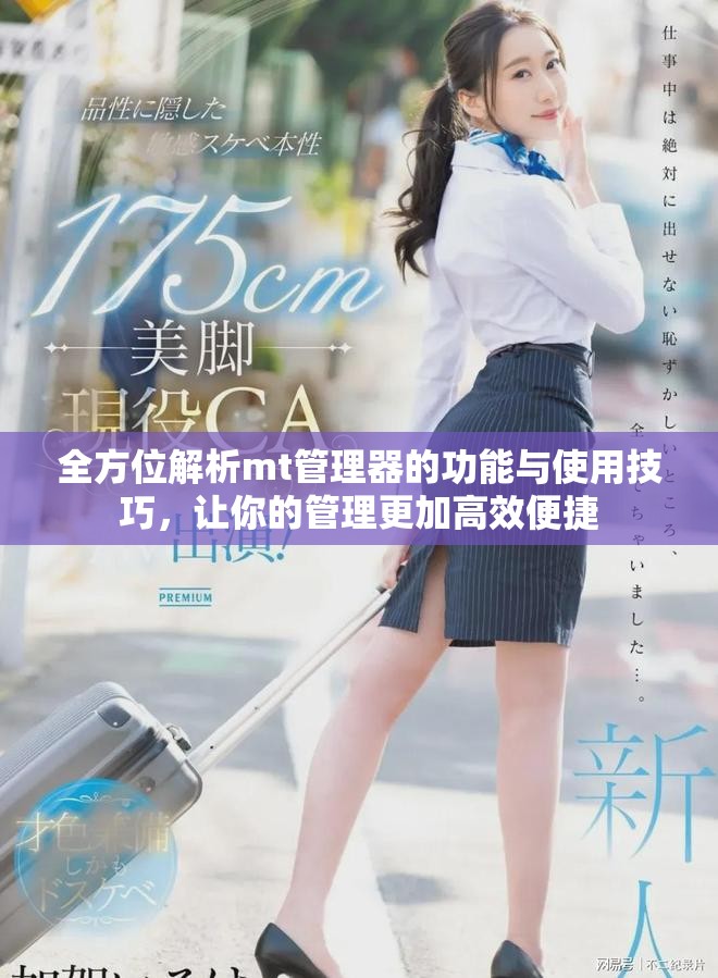 全方位解析mt管理器的功能與使用技巧，讓你的管理更加高效便捷