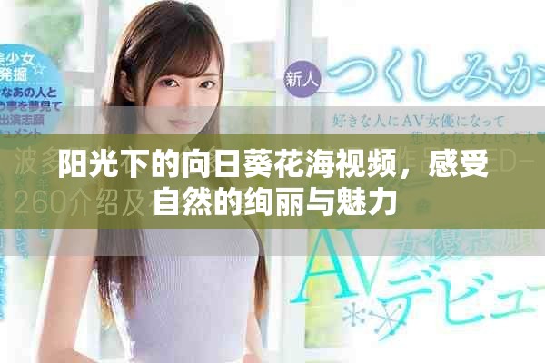 陽光下的向日葵花海視頻，感受自然的絢麗與魅力
