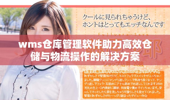 wms倉庫管理軟件助力高效倉儲與物流操作的解決方案