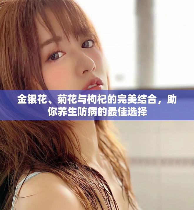 金銀花、菊花與枸杞的完美結合，助你養(yǎng)生防病的最佳選擇