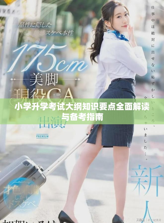 小學(xué)升學(xué)考試大綱知識要點(diǎn)全面解讀與備考指南