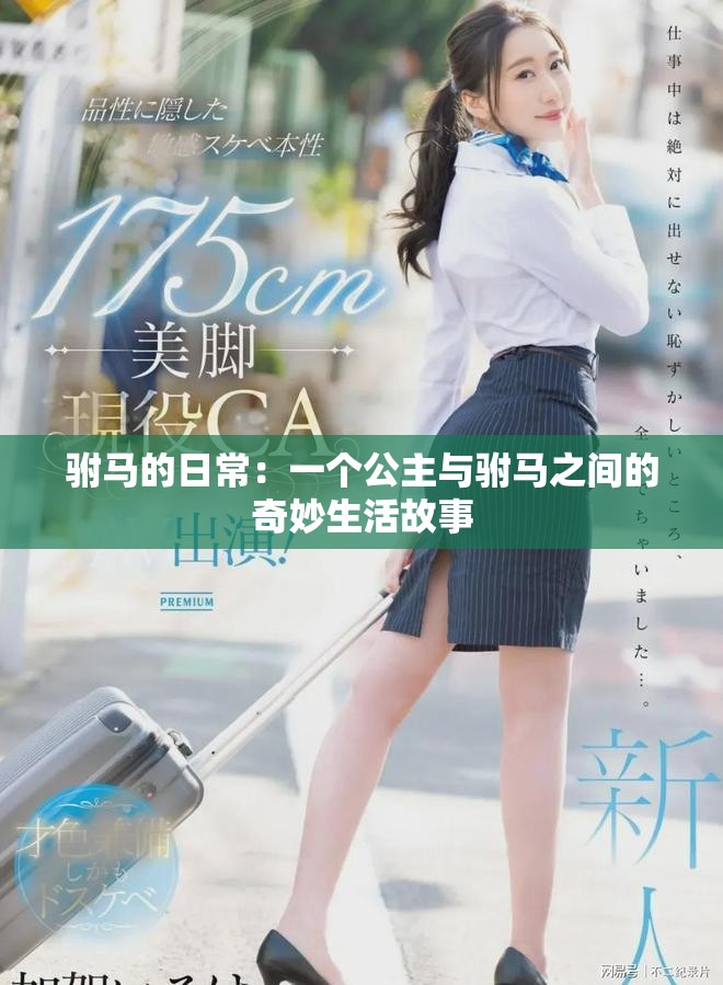 駙馬的日常：一個(gè)公主與駙馬之間的奇妙生活故事