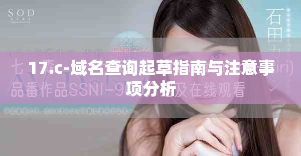 17.c-域名查詢起草指南與注意事項(xiàng)分析