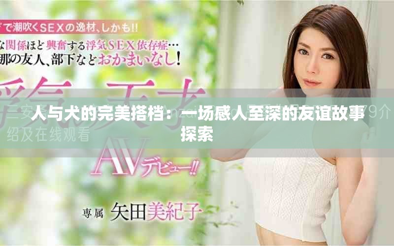 人與犬的完美搭檔：一場感人至深的友誼故事探索