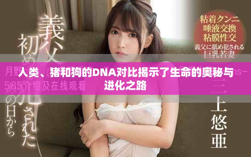 人類、豬和狗的DNA對(duì)比揭示了生命的奧秘與進(jìn)化之路