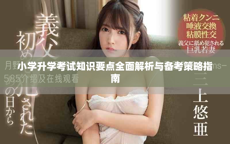 小學(xué)升學(xué)考試知識(shí)要點(diǎn)全面解析與備考策略指南