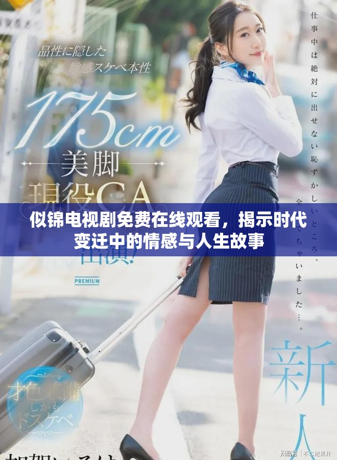 似錦電視劇免費(fèi)在線觀看，揭示時(shí)代變遷中的情感與人生故事