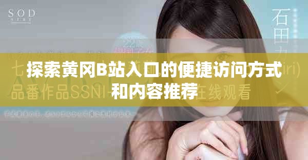 探索黃岡B站入口的便捷訪問方式和內(nèi)容推薦