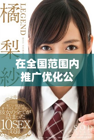 在全國(guó)范圍內(nèi)推廣優(yōu)化公共服務(wù)體系的輿情分析和研究
