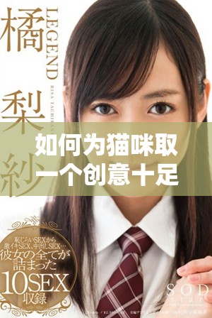 如何為貓咪取一個(gè)創(chuàng)意十足的地域網(wǎng)名指導(dǎo)技巧