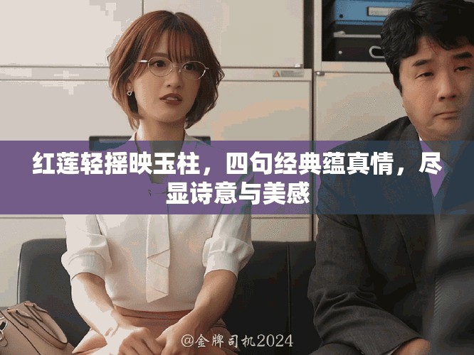 紅蓮輕搖映玉柱，四句經(jīng)典蘊(yùn)真情，盡顯詩意與美感
