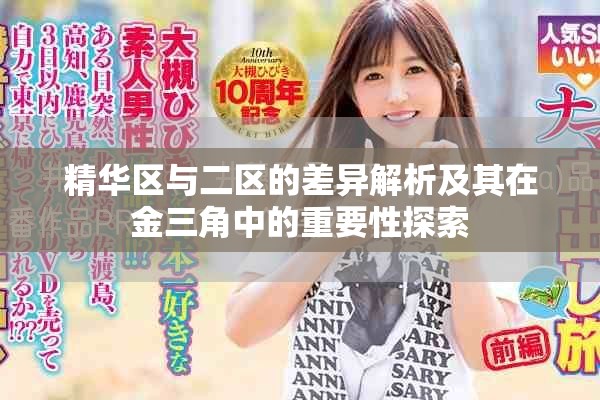 精華區(qū)與二區(qū)的差異解析及其在金三角中的重要性探索