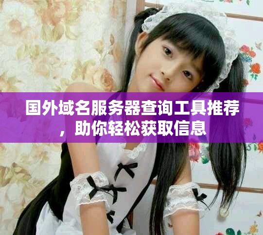 國外域名服務(wù)器查詢工具推薦，助你輕松獲取信息