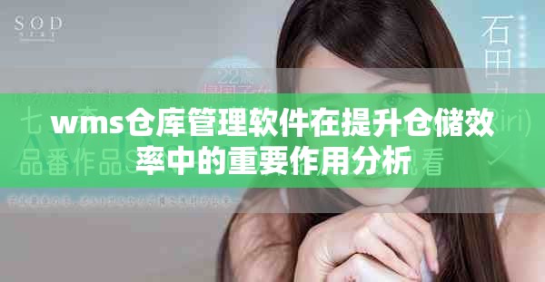wms倉庫管理軟件在提升倉儲效率中的重要作用分析