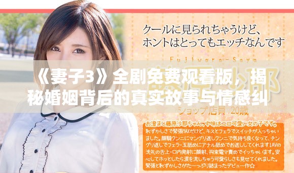 《妻子3》全劇免費(fèi)觀看版，揭秘婚姻背后的真實(shí)故事與情感糾葛