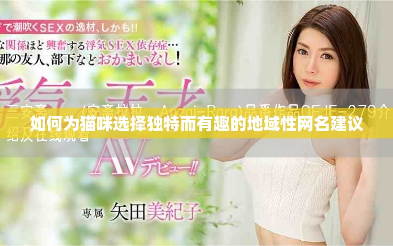 如何為貓咪選擇獨特而有趣的地域性網(wǎng)名建議