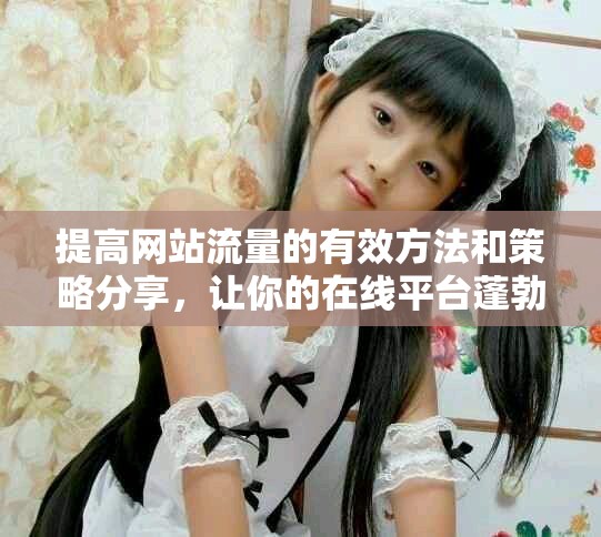 提高網(wǎng)站流量的有效方法和策略分享，讓你的在線平臺蓬勃發(fā)展