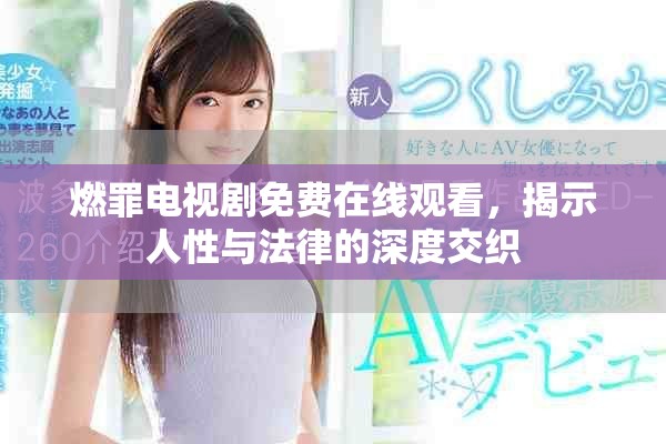 燃罪電視劇免費(fèi)在線觀看，揭示人性與法律的深度交織